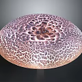 Fresh Natural Round Edible Mushroom With Brown And White Patterned Surface